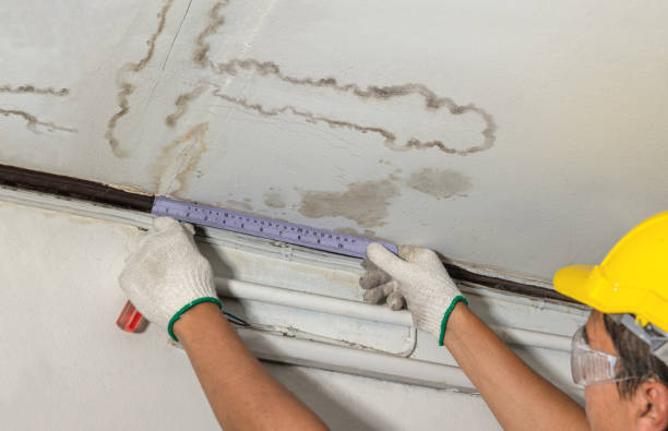 Reliable Water Damage contractor in Rock Island, WA by Water Damage Irwin